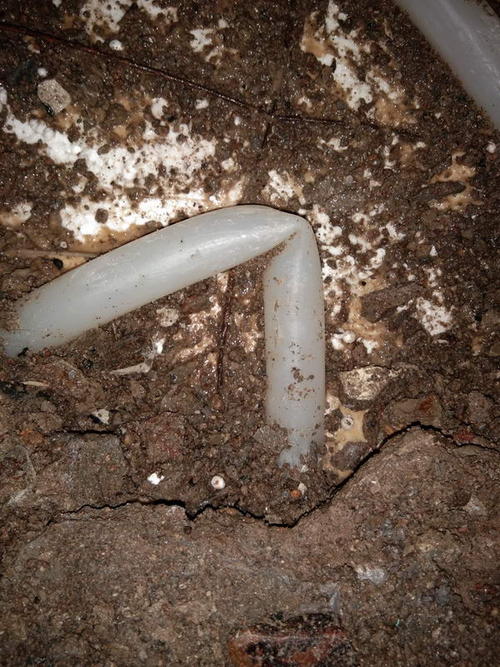 卓尼堵点精准查找